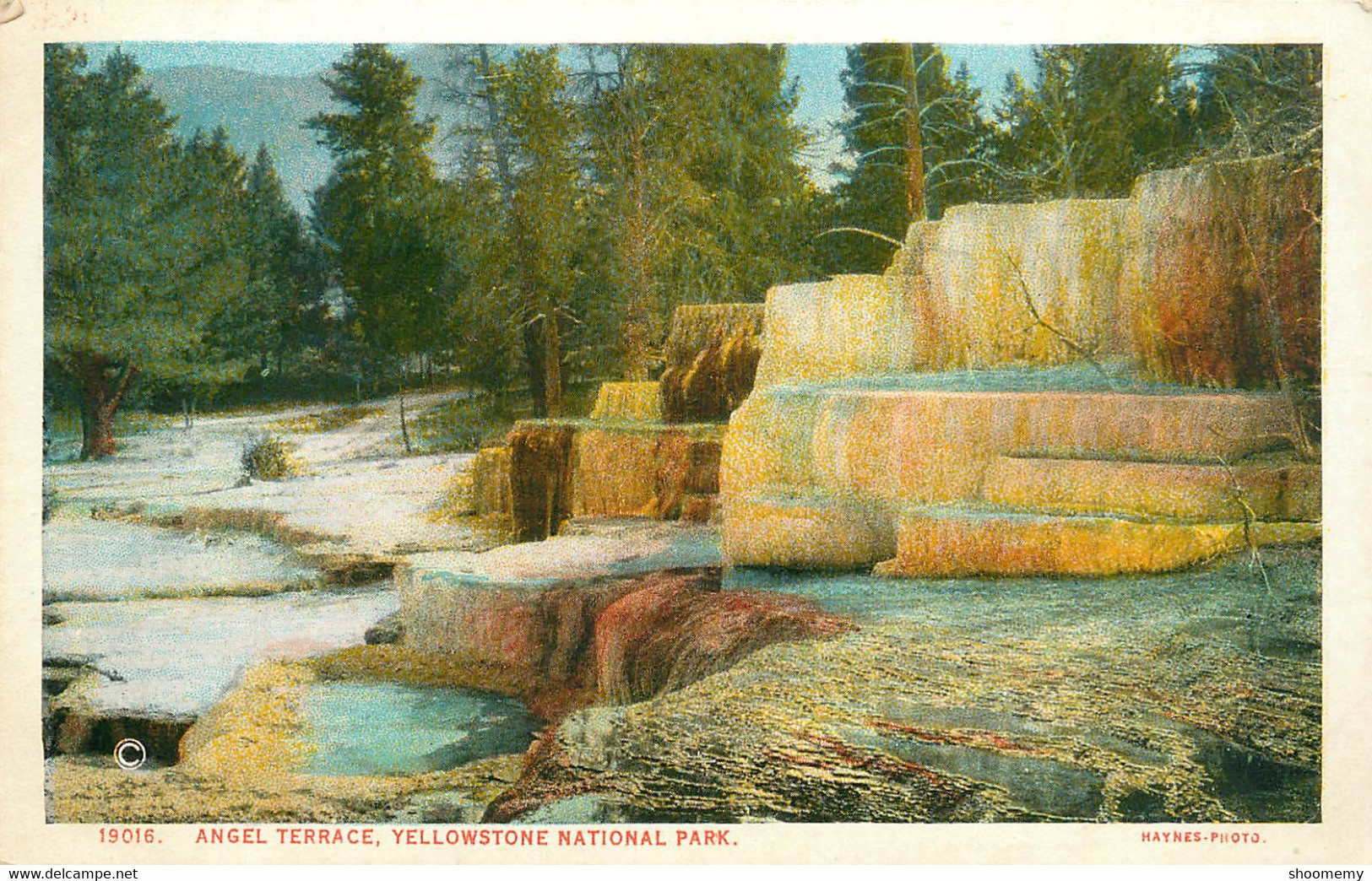 CPA Yellowstone Park-Angel Terrace-19016    L2050 - Autres & Non Classés