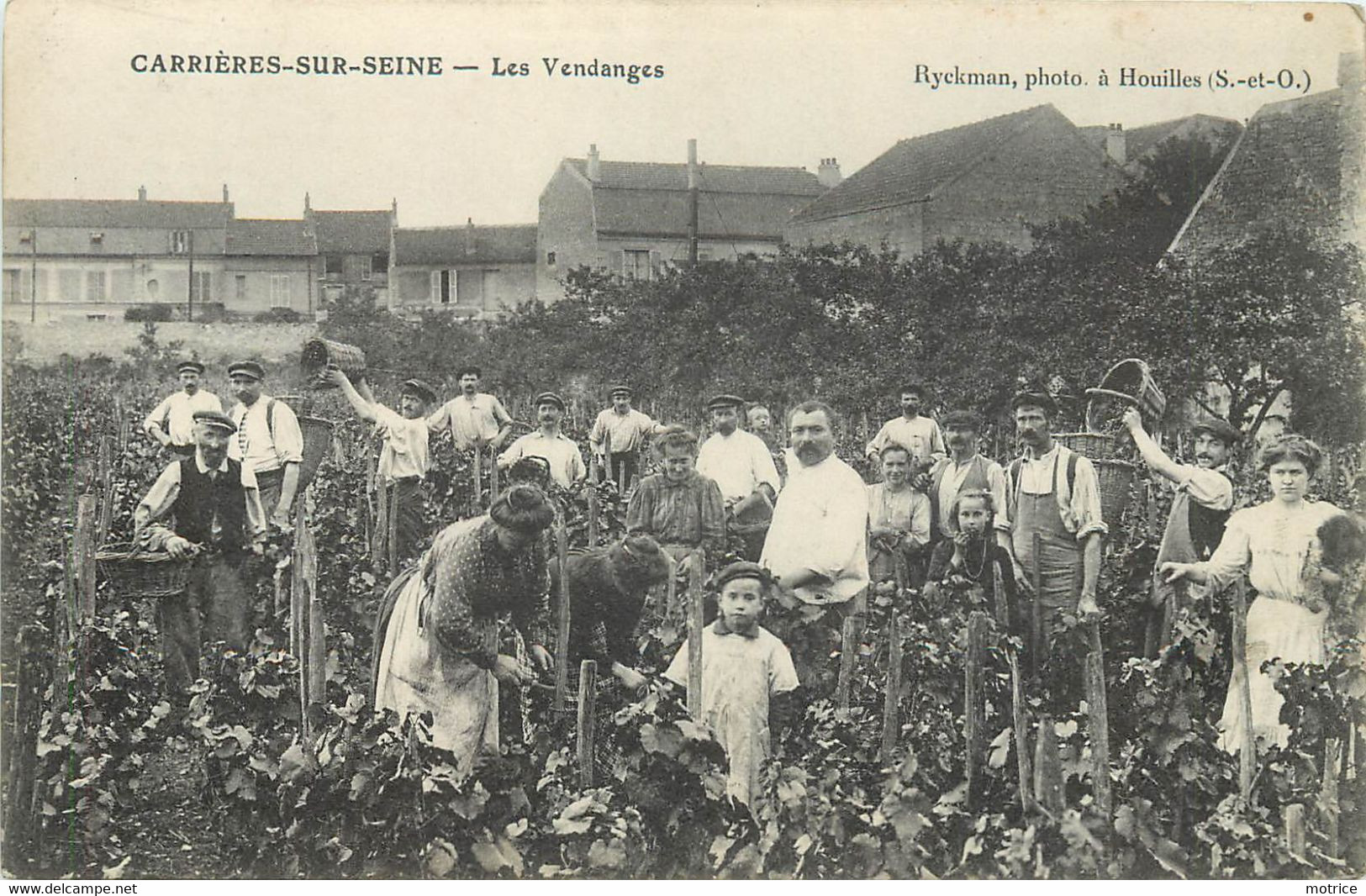 CARRIERES SUR SEINE - Les Vendanges. - Carrières-sur-Seine