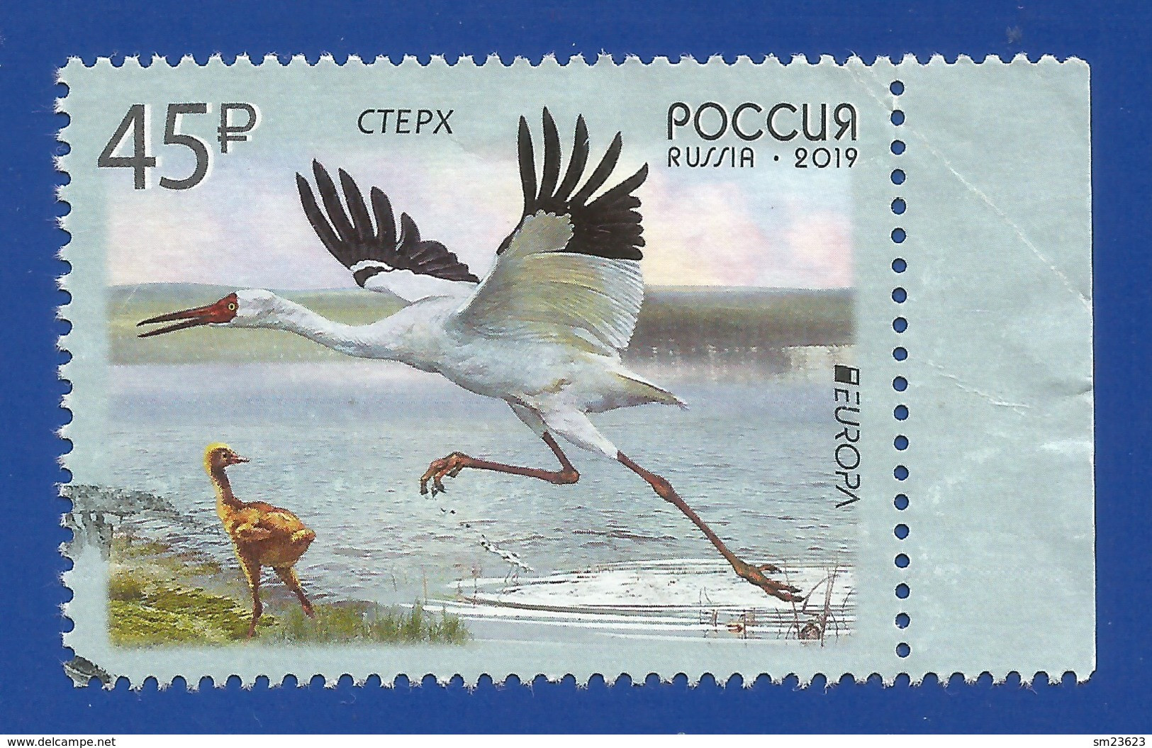 Russland / Russia 2019 , EUROPA CEPT Birds - Gestempelt / Fine Used / (o) - Oblitérés