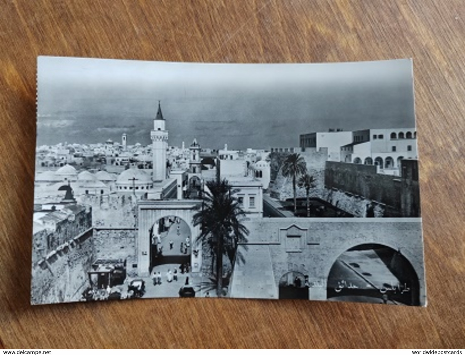 A1113 LIBIA ITALIANA - TRIPOLI - PANORAMA GENERAL VIEW FOTO AULA FORMATO PICCOLO VG 1952 - Libia