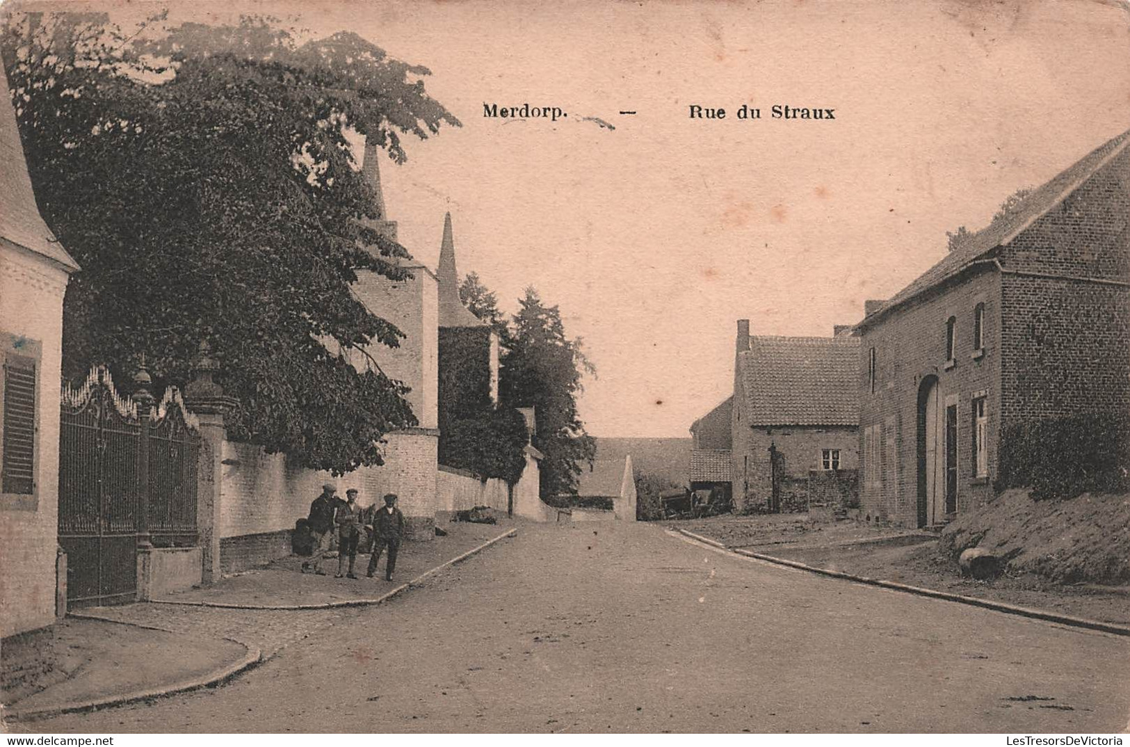 BELGIQUE - Merdorp - Rue Du Straux - Animé - Carte Postale Ancienne - Altri & Non Classificati