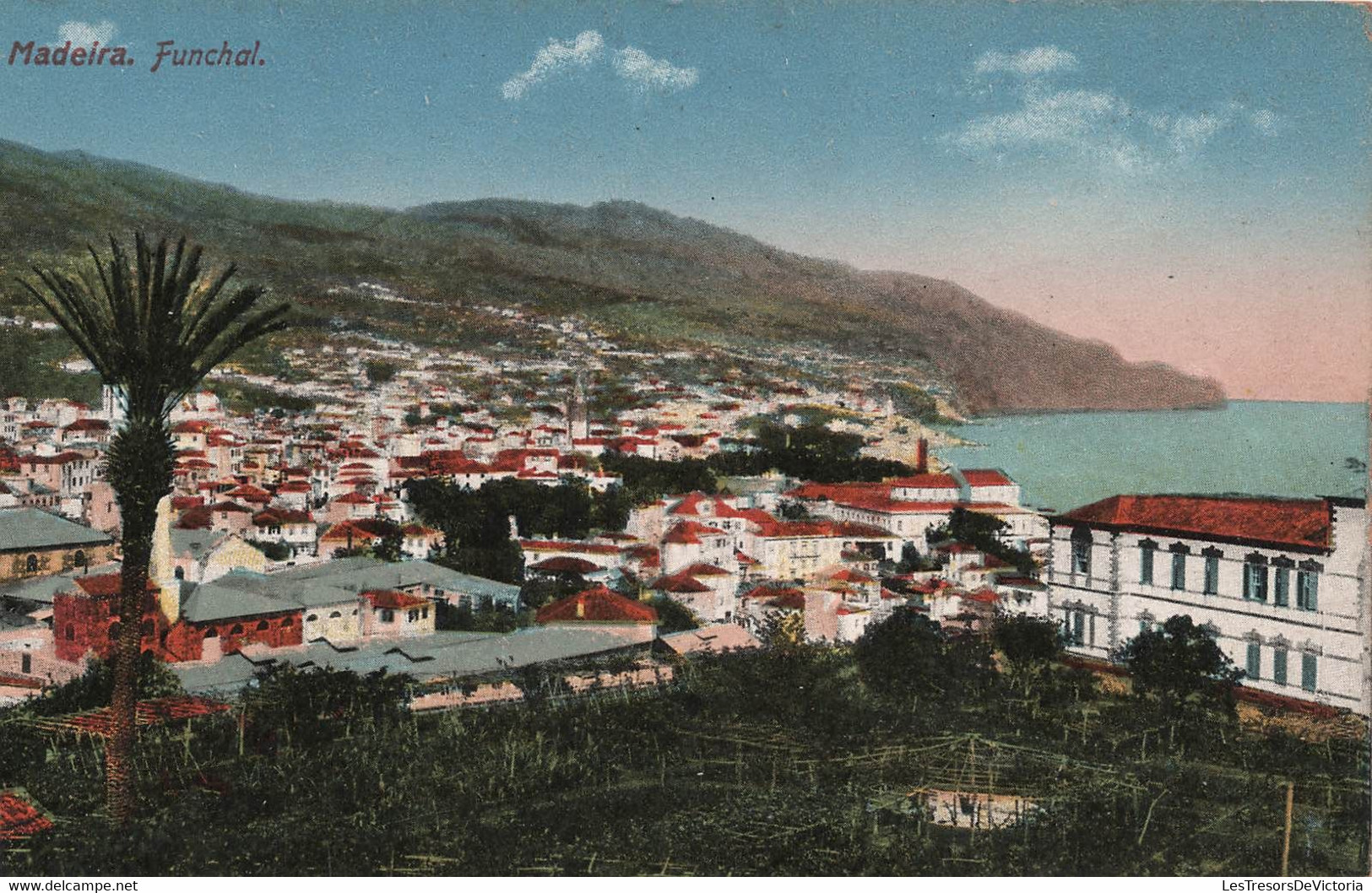 Portugal - Lot De 3 Cp Carnet Madeira - Carte Postale Ancienne - Madeira