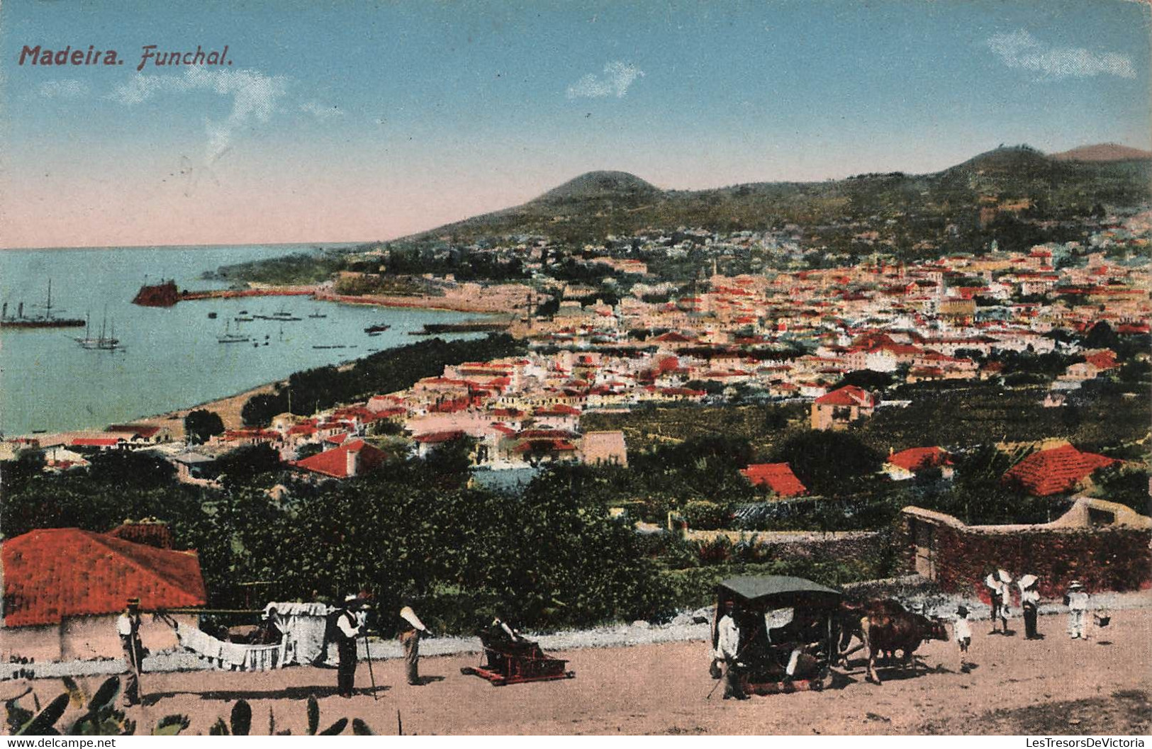 Portugal - Lot De 3 Cp Carnet Madeira - Carte Postale Ancienne - Madeira