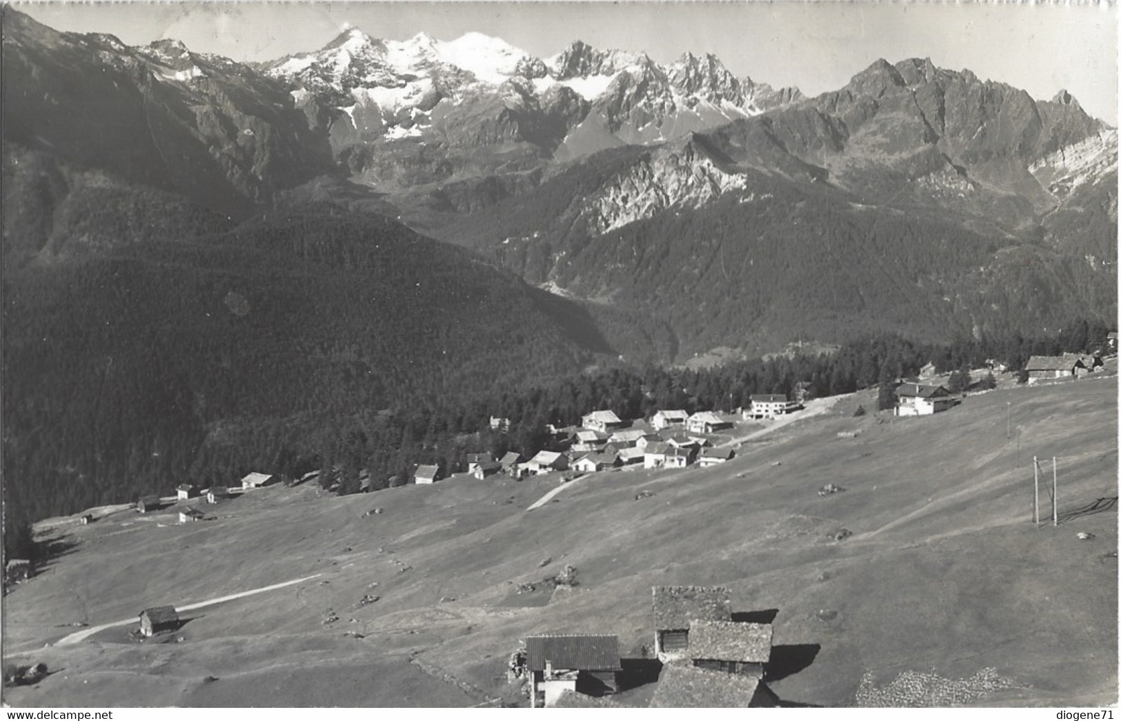 Cari-Croce Con Campo Tencia 1958 - Campo