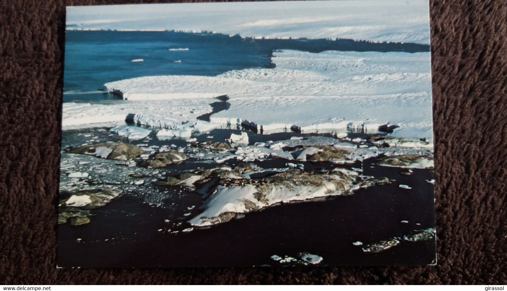 CPM TERRES AUSTRALES ET ANTARCTIQUES FRANCAISES TERRE ADELIE DUMONT D URVILLE ARCHIPEL POINTE  PHOTO R GUILLARD ED LYNA - TAAF : Territori Francesi Meridionali