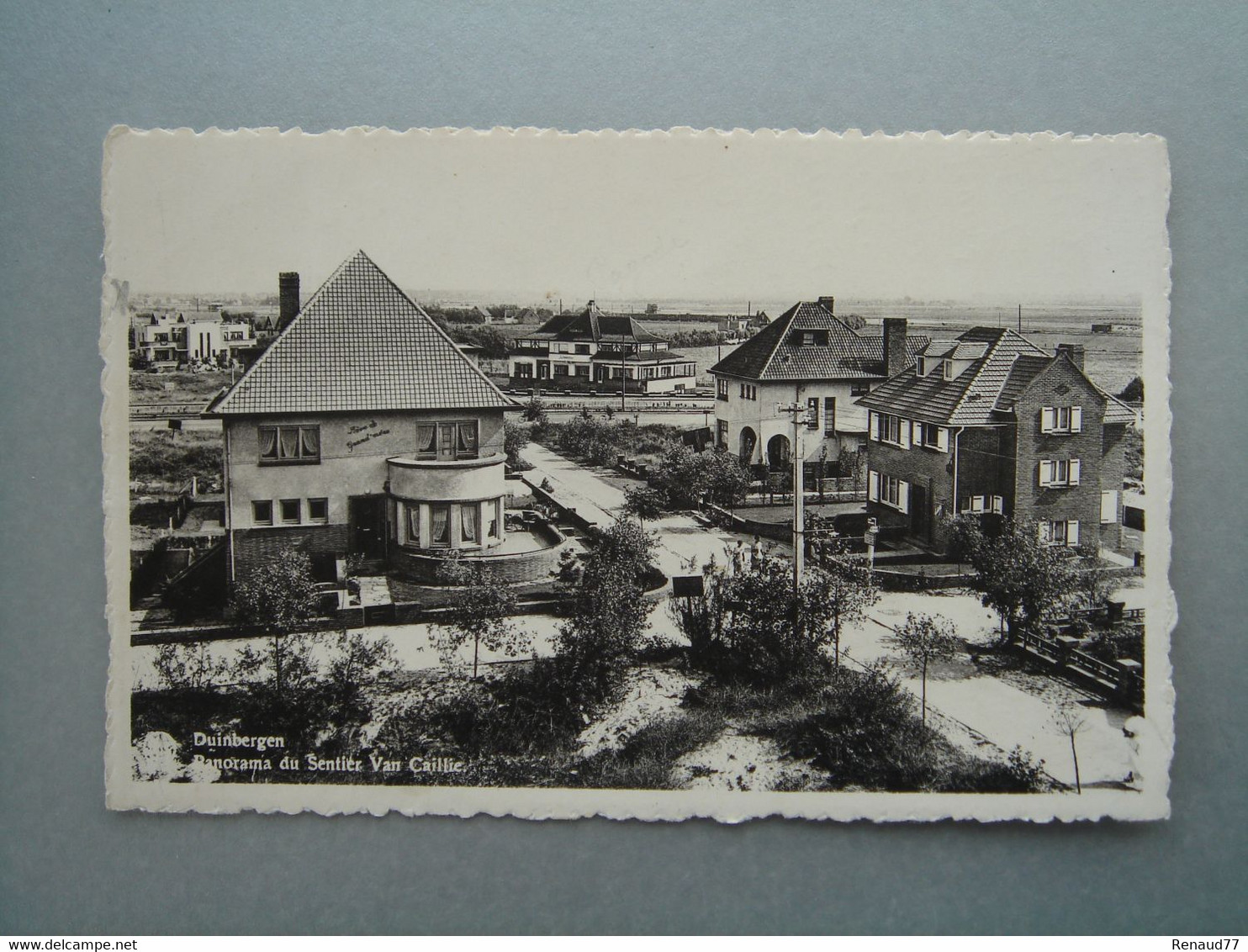 Duinbergen - Panorama Du Sentier Van Caillie - Knokke