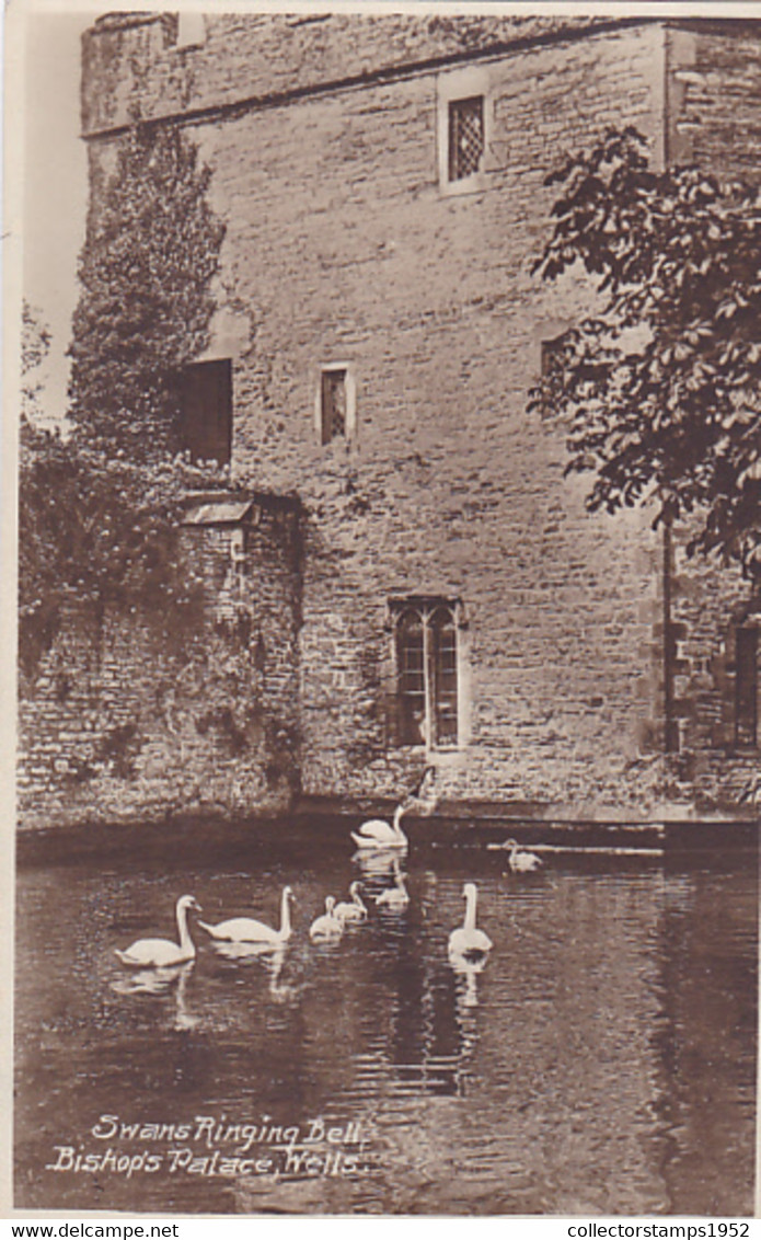 CPA WELLS- BISHOP'S PALACE, SWANS - Wells