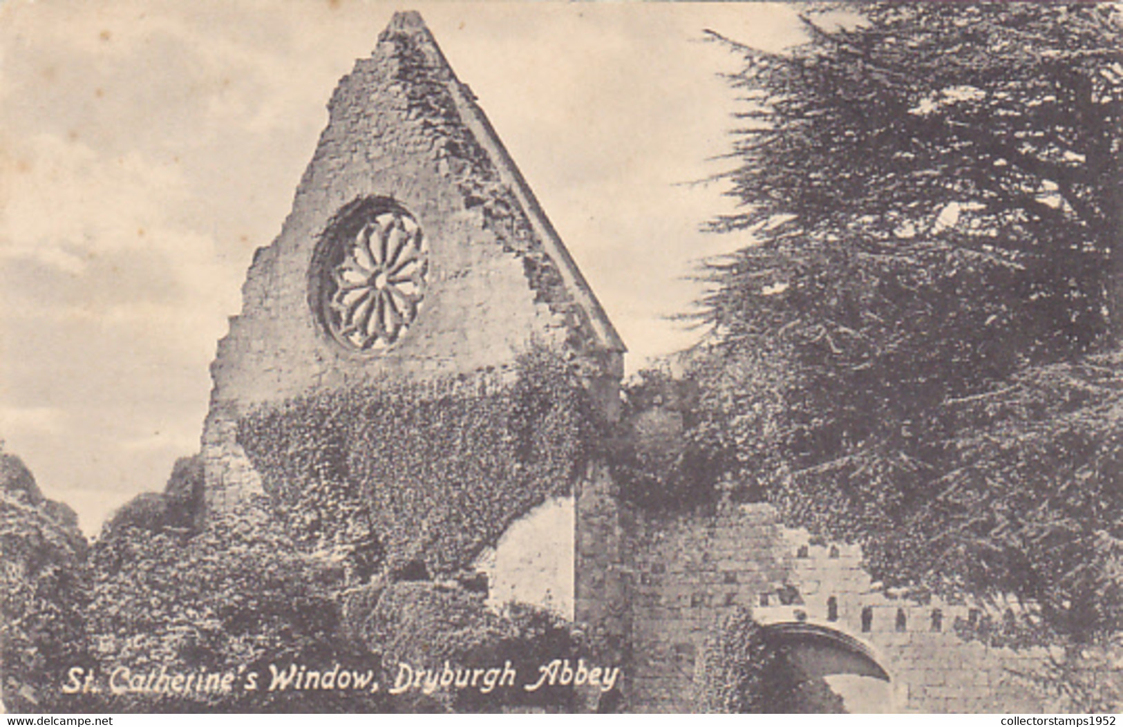 CPA DRYBURGH- THE ABBEY RUINS, ST CATHERINE'S WINDOW - Berwickshire
