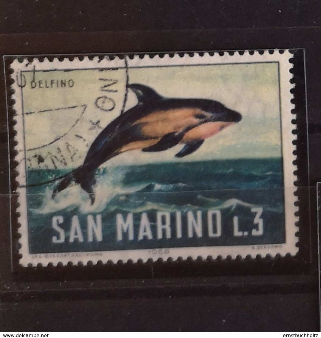 San Marino 1966 Meeresfauna 869/78 Im Angebot 1 Säuger Delfin - Gebruikt