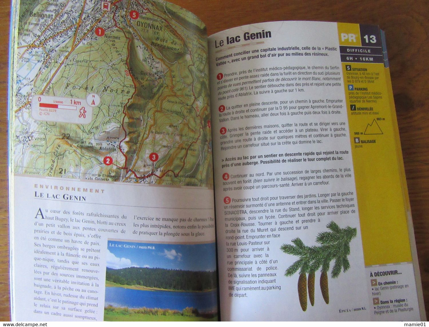 Topo Guides    L'Ain ...à Pied        Promenade & Randonnée - Michelin (guias)
