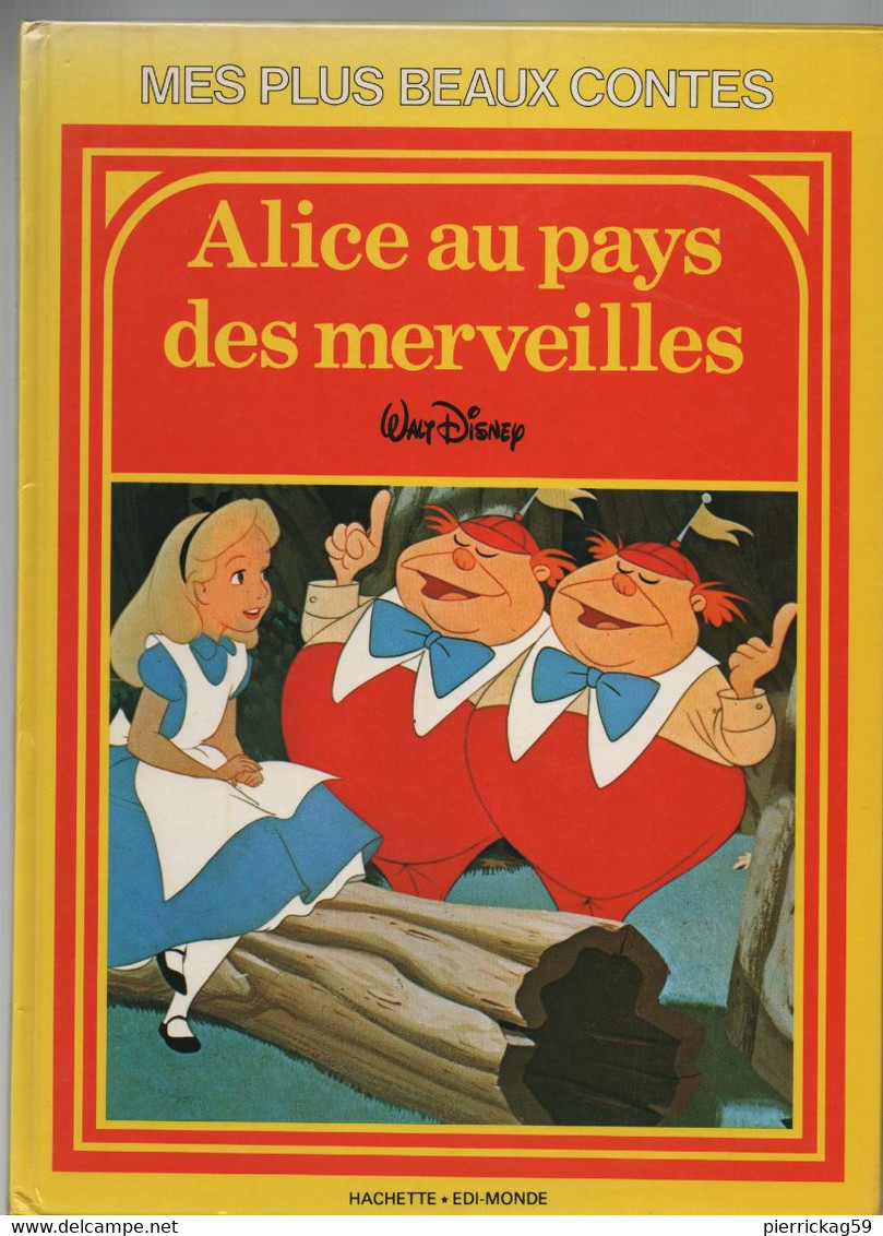 LIVRES -  SERIE DE 2 LIVRES " ALICE Et LA GAFFE" - Bücherpakete