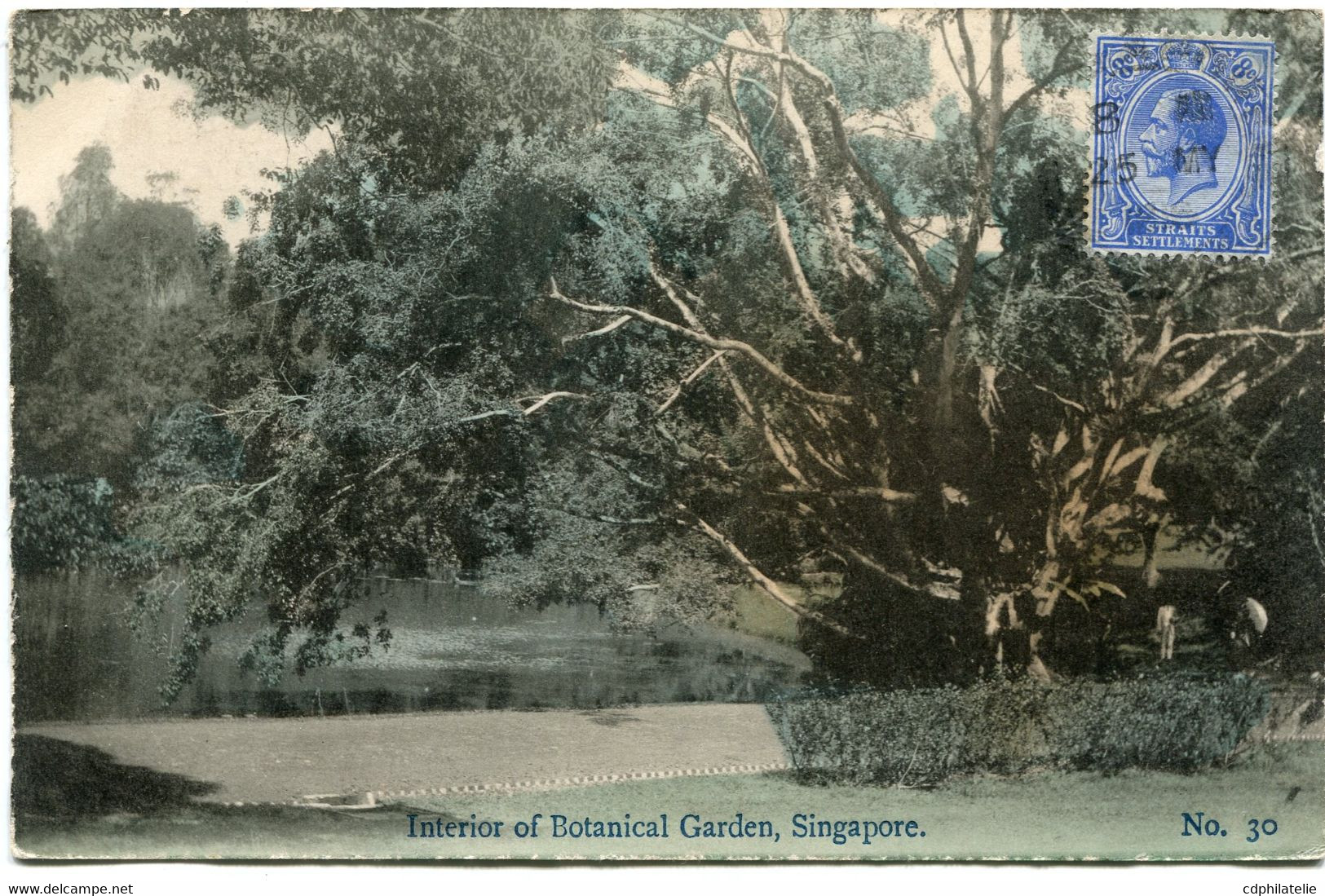 SINGAPOUR CARTE POSTALE -SINGAPORE INTERIOR OF BOTANICAL GARDEN DEPART SINGAPORE ? ? ? POUR LE CAMBODGE - Singapour (...-1959)
