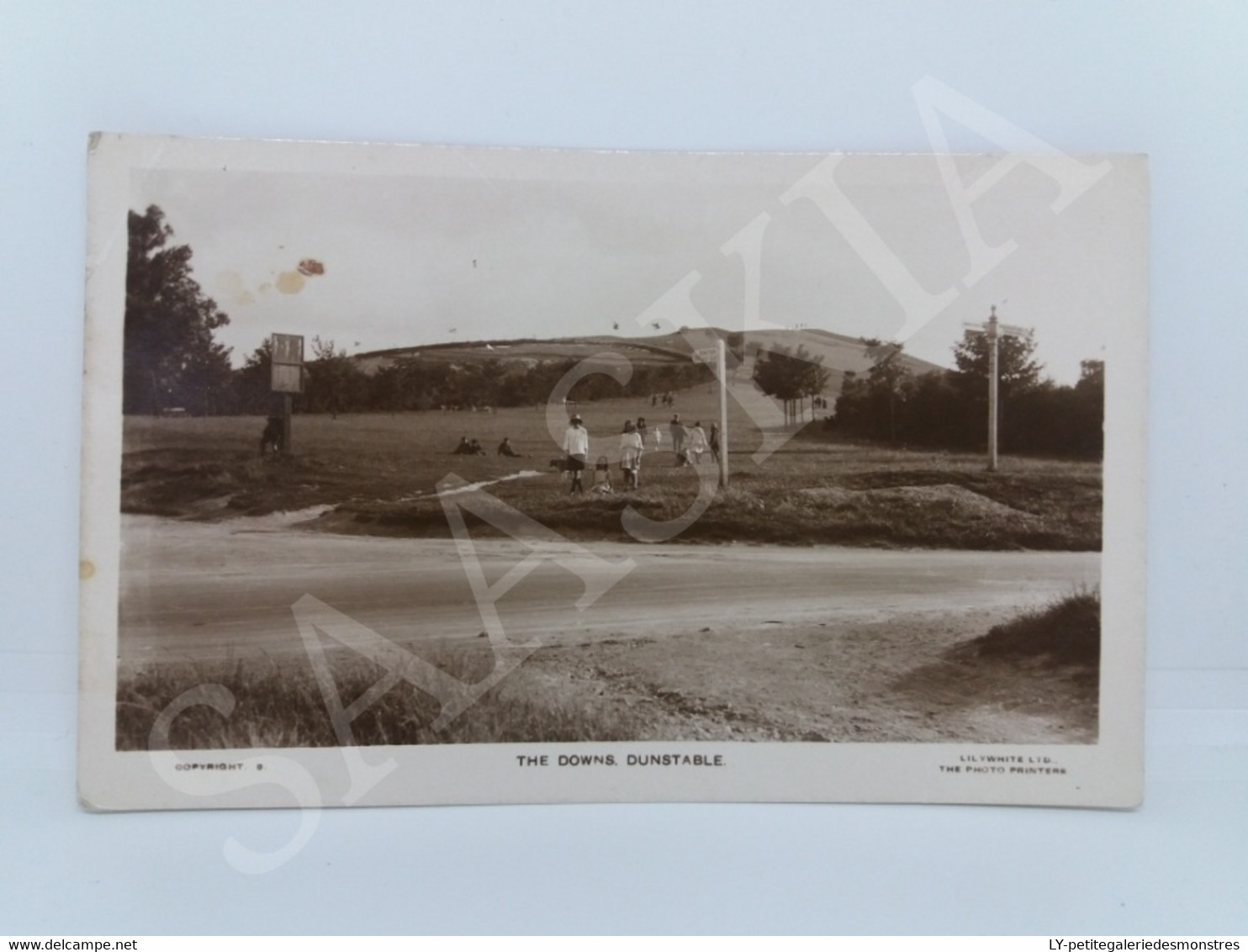 #CPA.243 - The Downs Dunstable - Lilywhite LTP. - Animation - Golf Club - Other & Unclassified