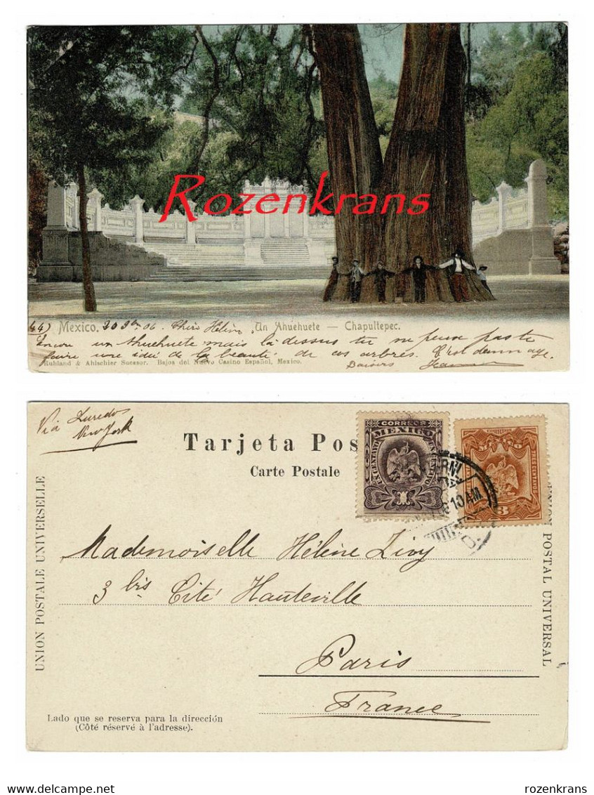 Un An Ahuehuete Chapultepec Mexico Mexique Timbre Obliteration Cachet CPA Carte Postale Tarjeta Postal Old Postcard - Mexiko