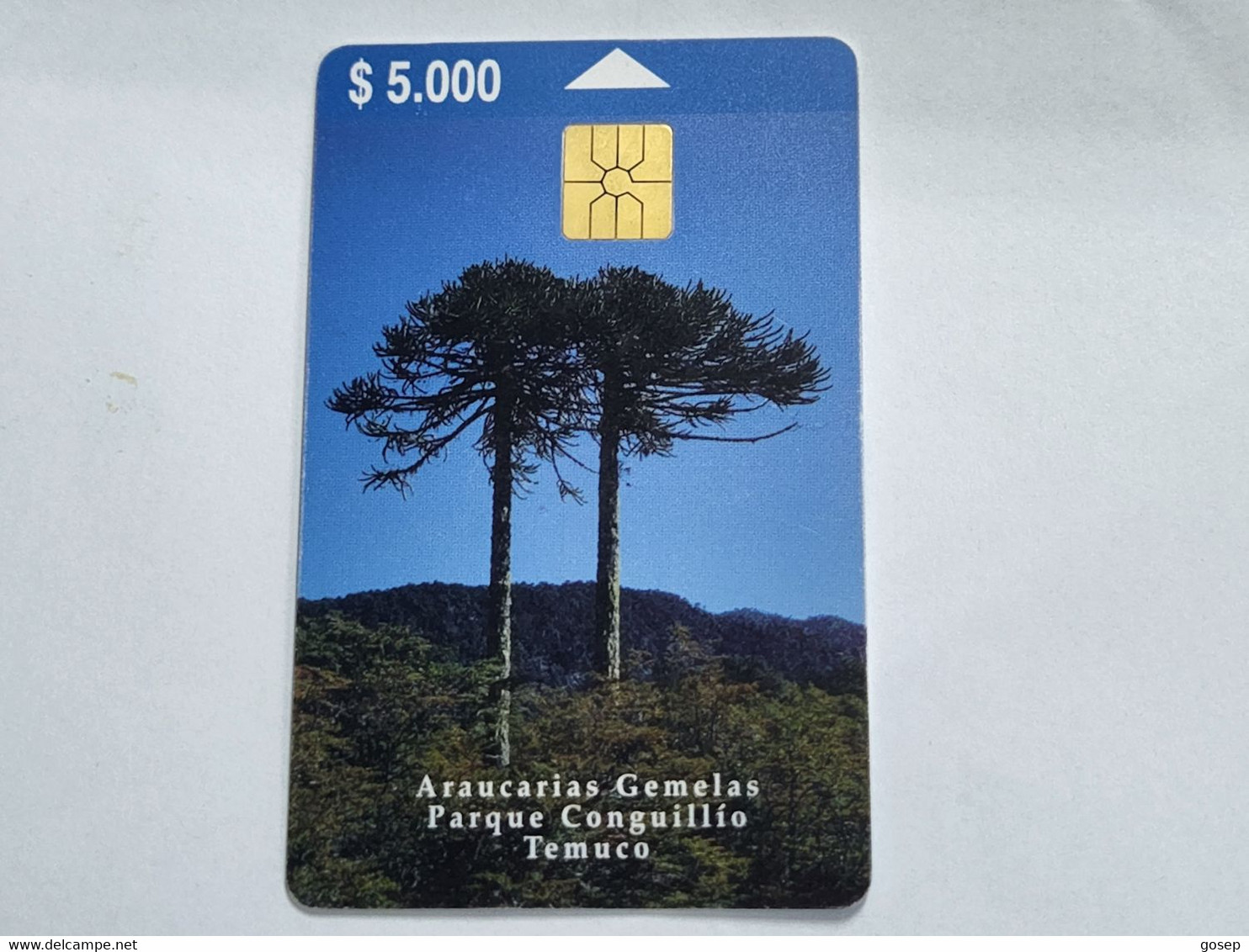 Chile-(cl-tlf-0016)-araucarias-(194)-($5.000)-(G04199193)-(8/2000)-(tirage-20.000)-used Card+1card Prepiad Free - Chili