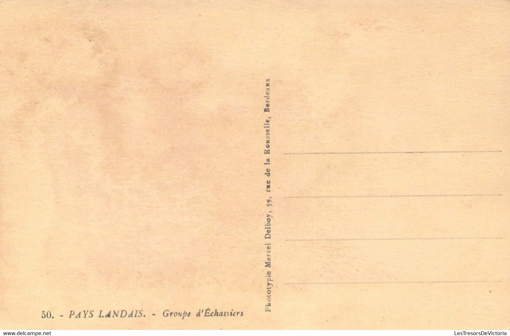 FRANCE - PAYS LANDAIS - Groupe D'échassiers - Musiciens - Tambour - Carte Postale Ancienne - Music
