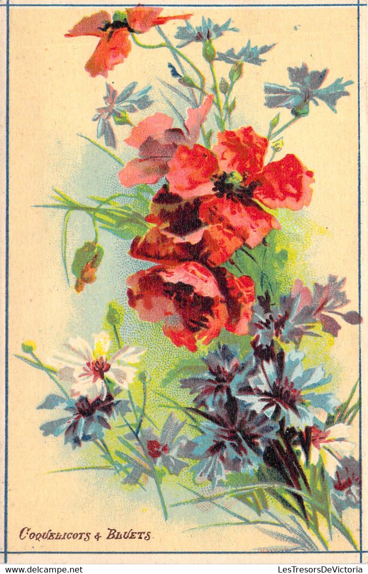 CHROMO  - COQUELICOTS ET BLEUETS - Fleur - Carte Postale Ancienne - Sonstige & Ohne Zuordnung