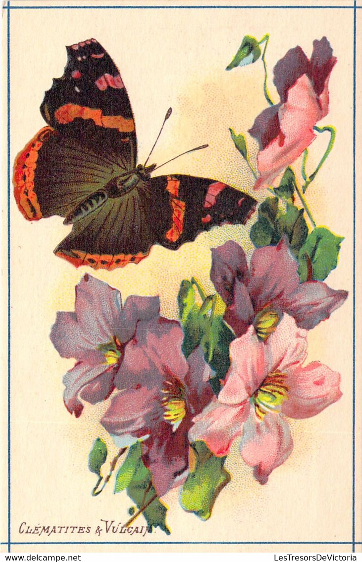 CHROMO  - CLEMATITES ET VULCAIJ - Papillon - Fleur - Carte Postale Ancienne - Otros & Sin Clasificación