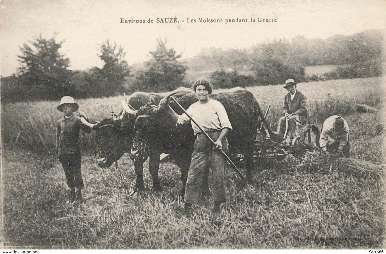 Sauzé * Environs * Les Moissons Pendant La Guerre * Travail Aux Champs * Agriculture Attelage De Boeufs - Sauze Vaussais