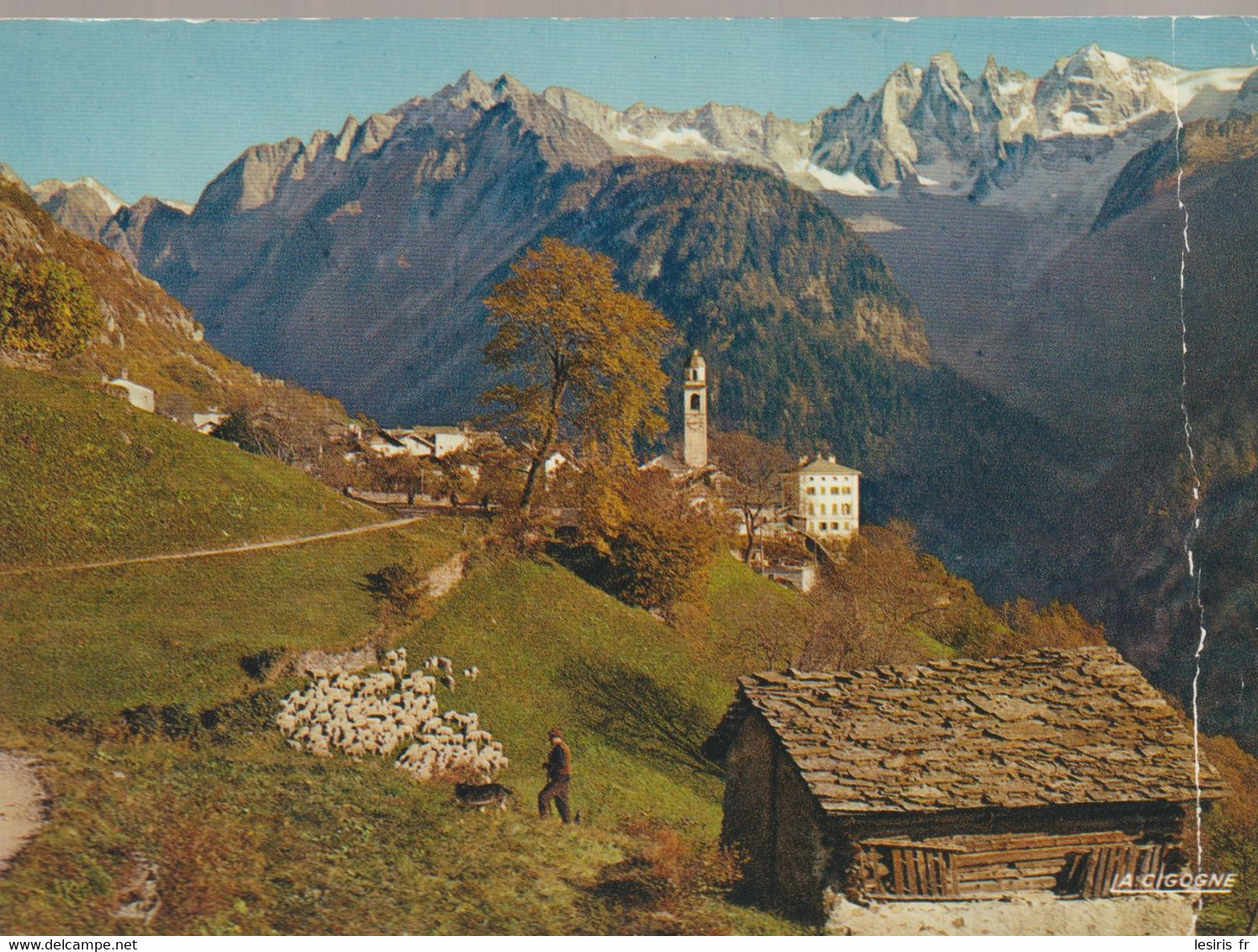 C.P. -  PHOTO - LA MONTAGNE EST GRANDE - MON HUMBLE CABANE - MON TROUPEAU - LE SILENCE ET LA PAIX - LE BERGER - PF 300 - Philosophie & Pensées