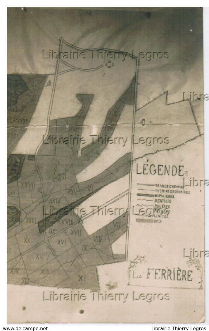 CPA Carte Photo Froidchapelle  Chimay  Plan Du Bois De La Ferrière - Froidchapelle