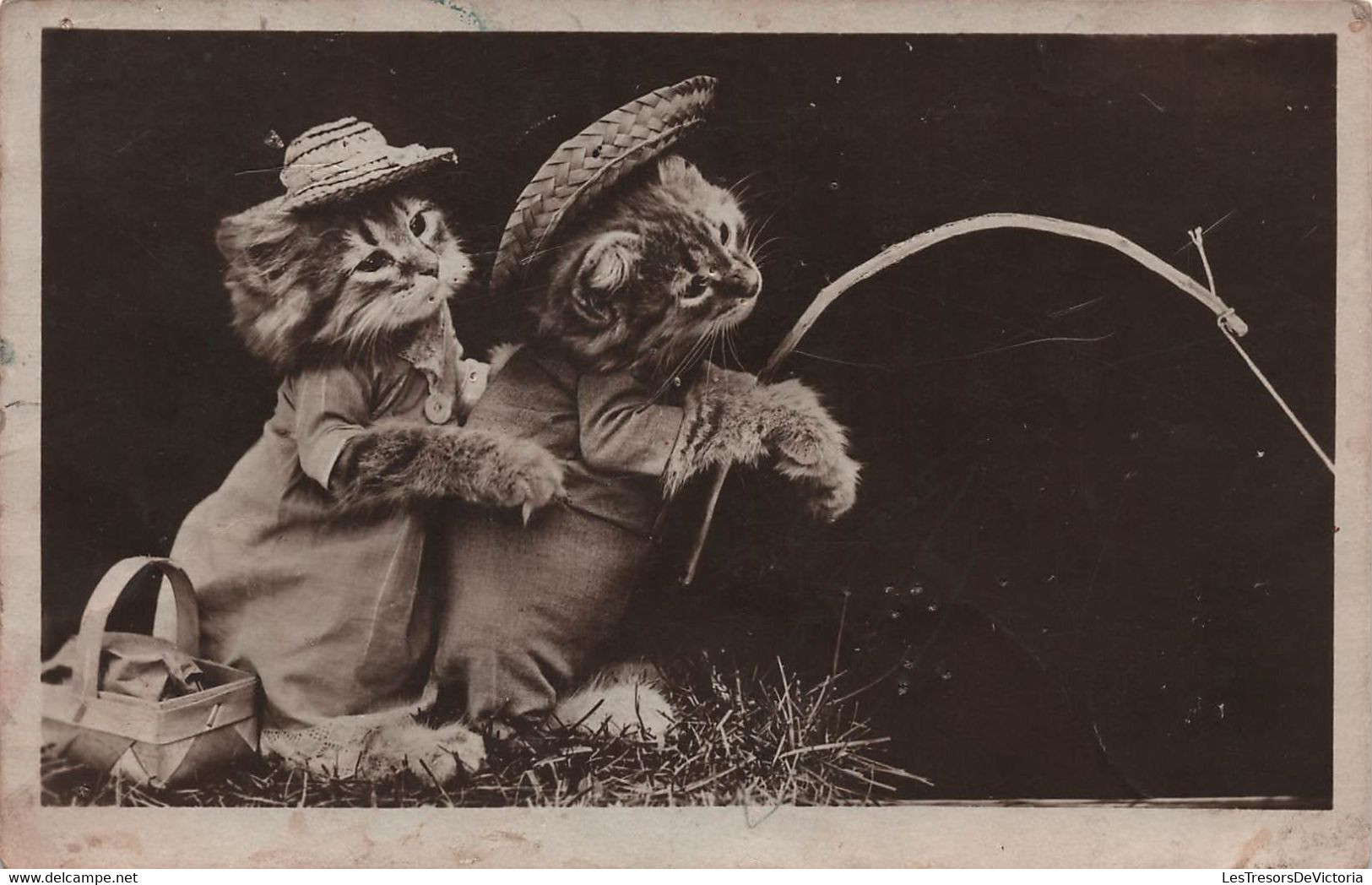 Fantaisie - CHATS - Animaux Habillés - Chats En Train De Pecher - Carte Postale Ancienne - - Dressed Animals