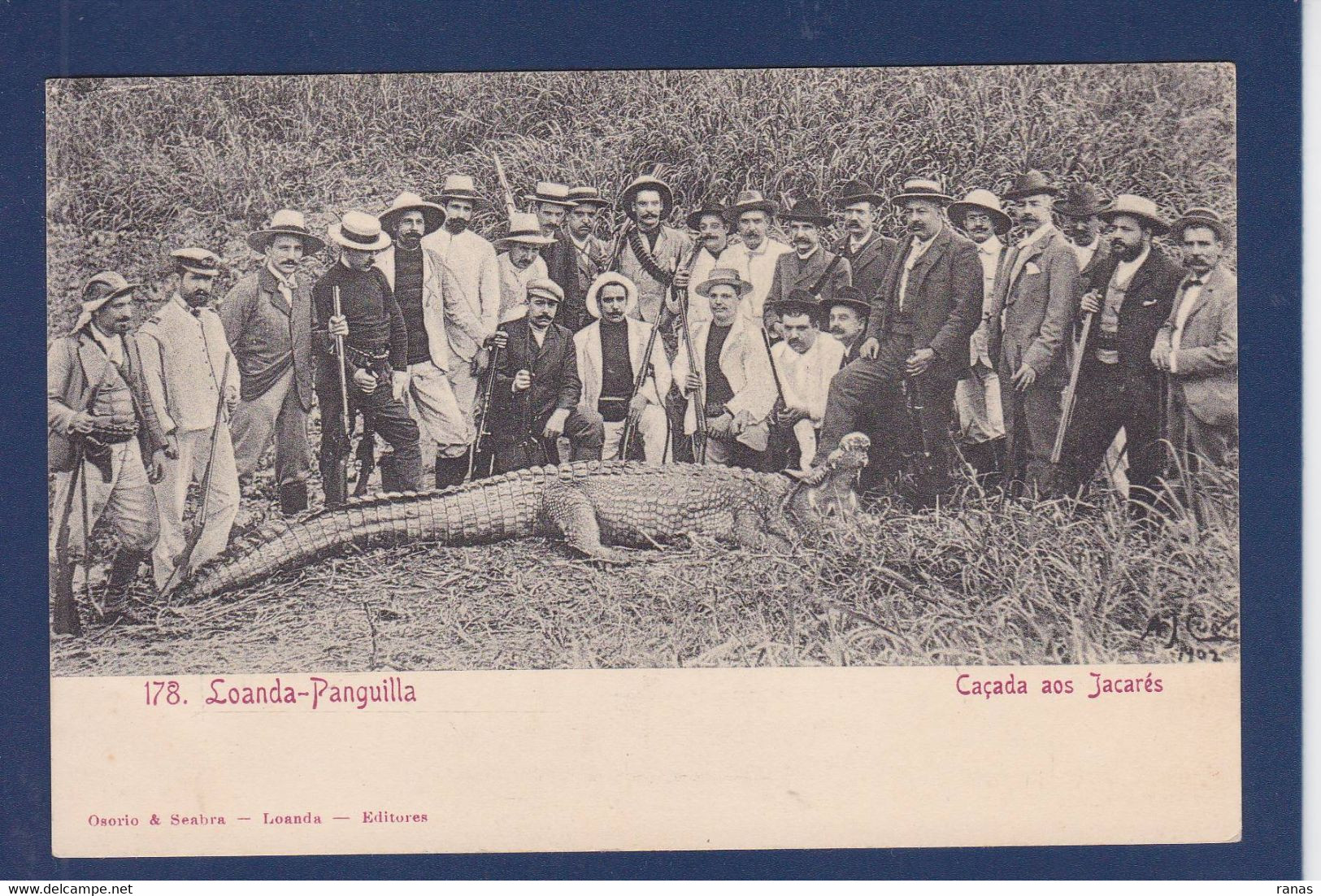 CPA Angola Afrique Noire Colony Portuguese Portugal Voir Dos Crocodile Caiman Chasse - Angola