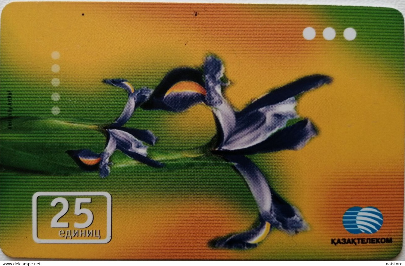 KAZAKHSTAN..  PAYPHONE CARD.. KAZAKHTELECOM..25 Units - Kazachstan