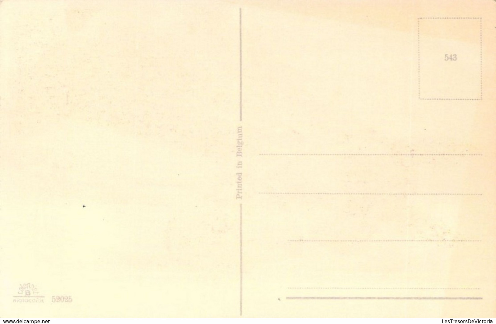 CHEVAL NOIR - 59025 - Animaux - Carte Postale Ancienne - Pferde
