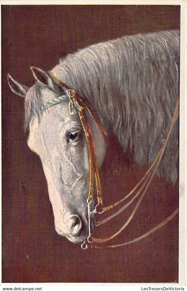 CHEVAL GRIS - Illustration Non Signée - TSN Série 1422 - Animaux - Carte Postale Ancienne - Pferde