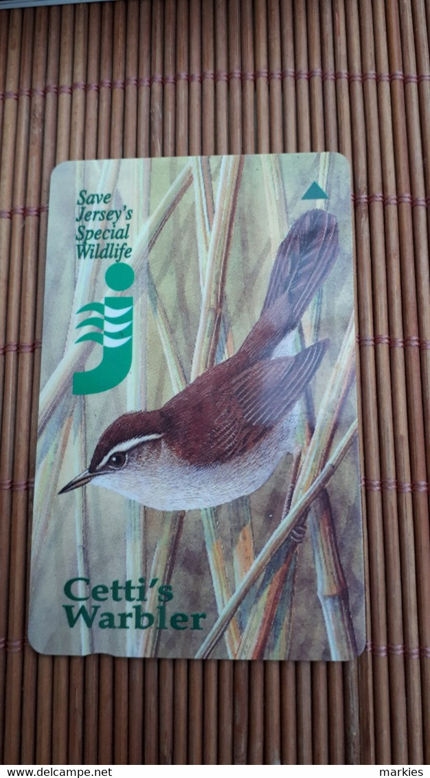 Bird Cettis Warber Used Rare - Zangvogels