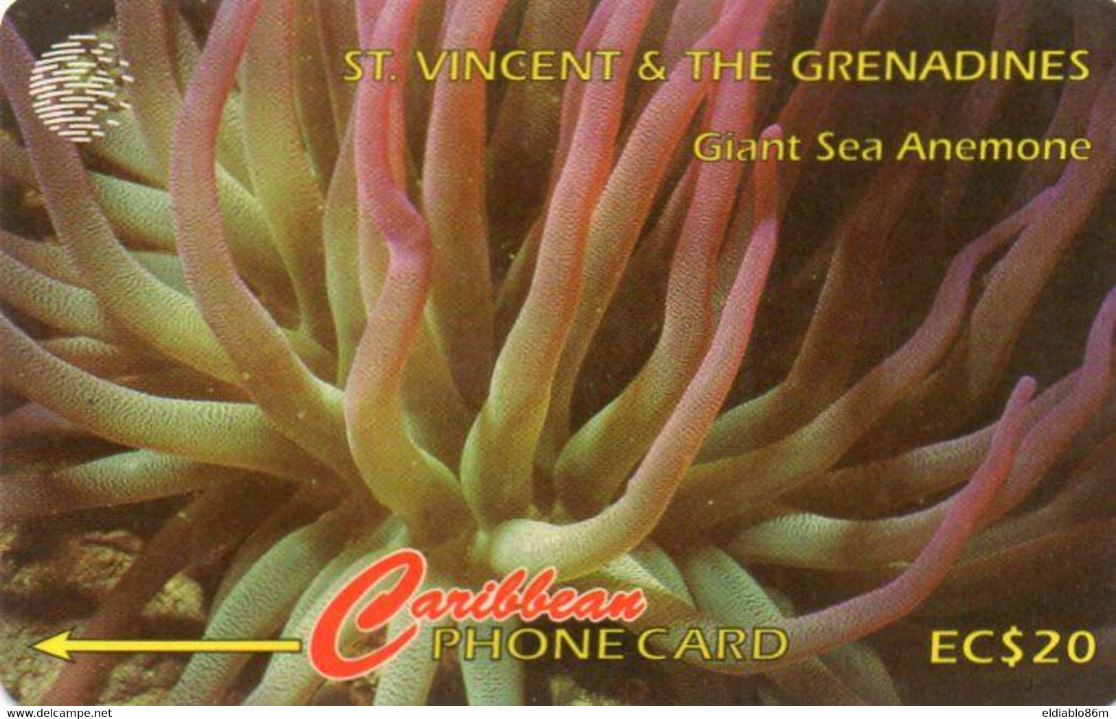 ST. VINCENT & THE GRENADINES - GPT - 101CSVB - GIANT SEA ANEMONE - San Vicente Y Las Granadinas