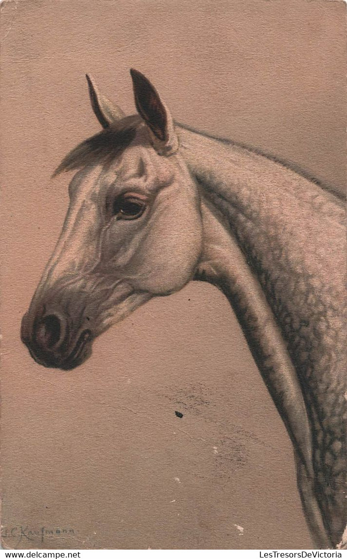 CHEVAUX - Illustration De Cheval Par Kaufmann - Carte Postale Ancienne - - Pferde