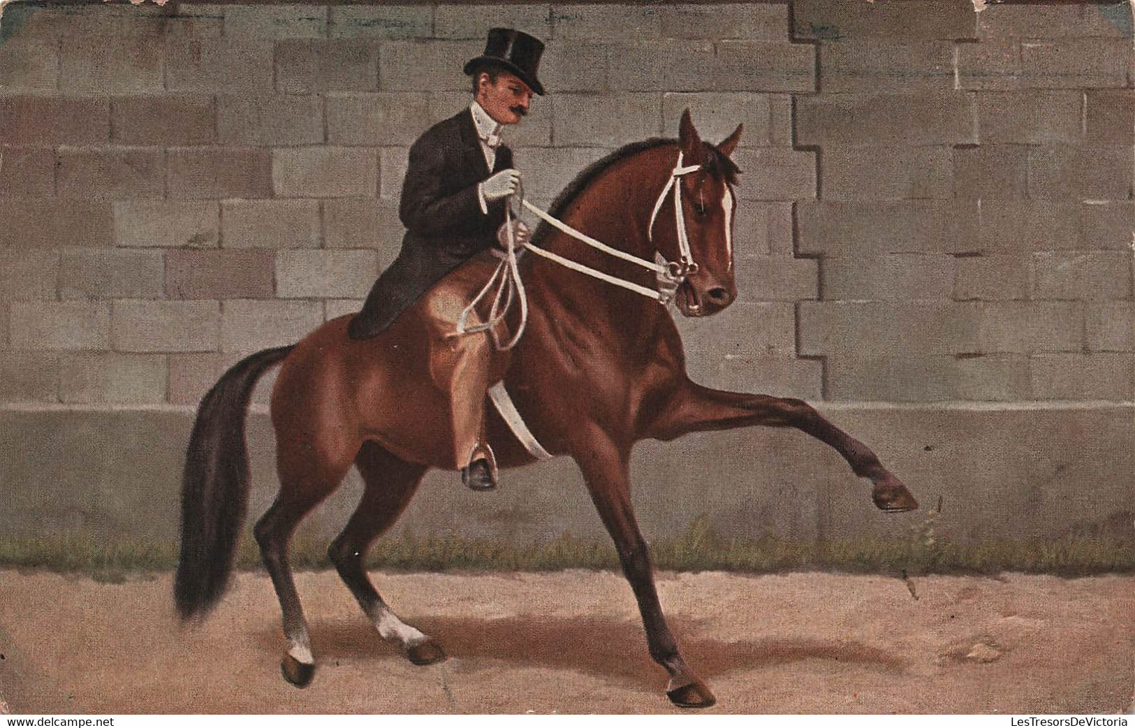 CHEVAUX - Dressage - Homme Avec Chapeau Haut De Forme Sur Cheval Qui Leve La Patte - Carte Postale Ancienne - - Pferde