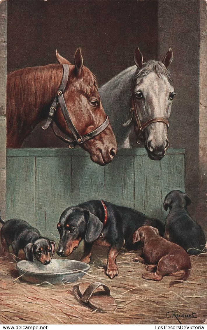 Animaux - Chevaux Et Chiens - Illustration De Reichert - Carte Postale Ancienne - - Pferde