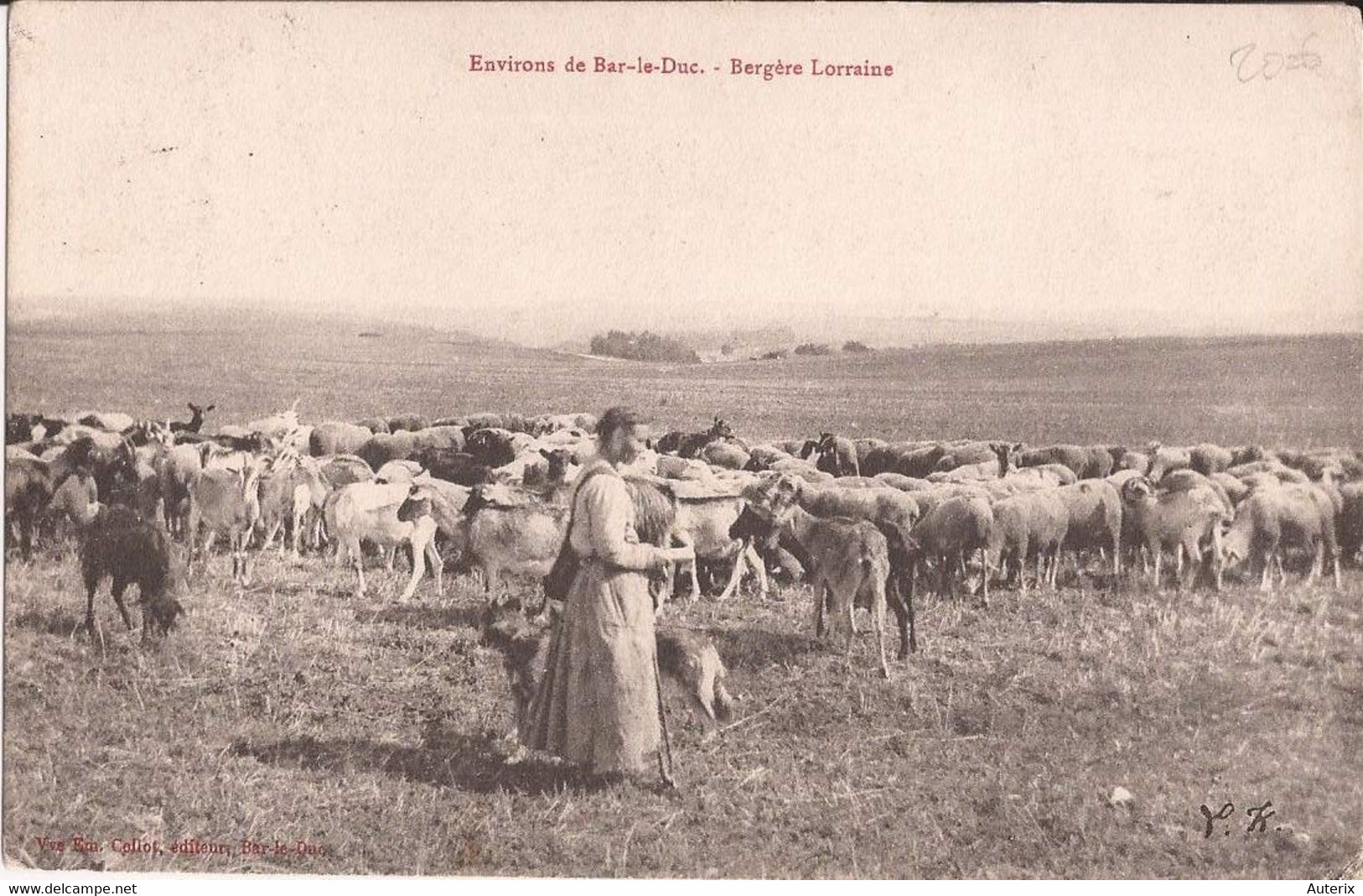 55 Environs De Bar Le Duc Bergere Lorraine Moutons Chien Chevre Goat - Bar Le Duc