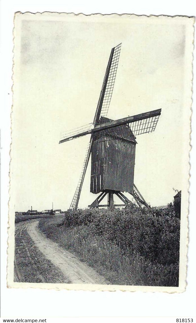 Waregem  Oude Molen - Waregem