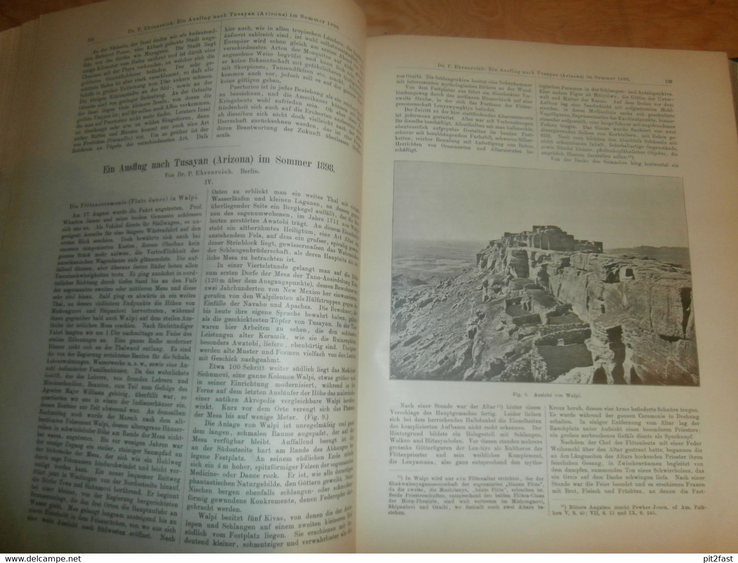 Völkerkunde Juli-Dezember 1899, gebundene GLOBUS Zeitschriften , Expedition , Kolonie , Reise , Berichte , Etnologie  !!