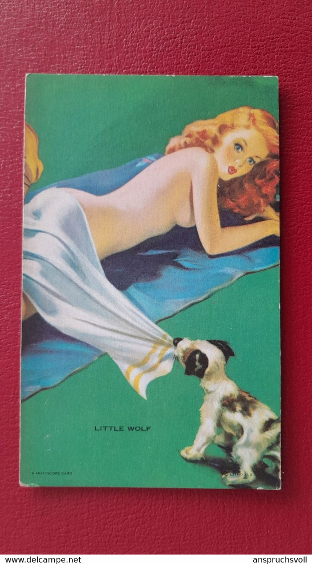 CPA - PIN UPS - FEMMES - A MUTOSCOPE CARD - Little Wolf - Pin-Ups