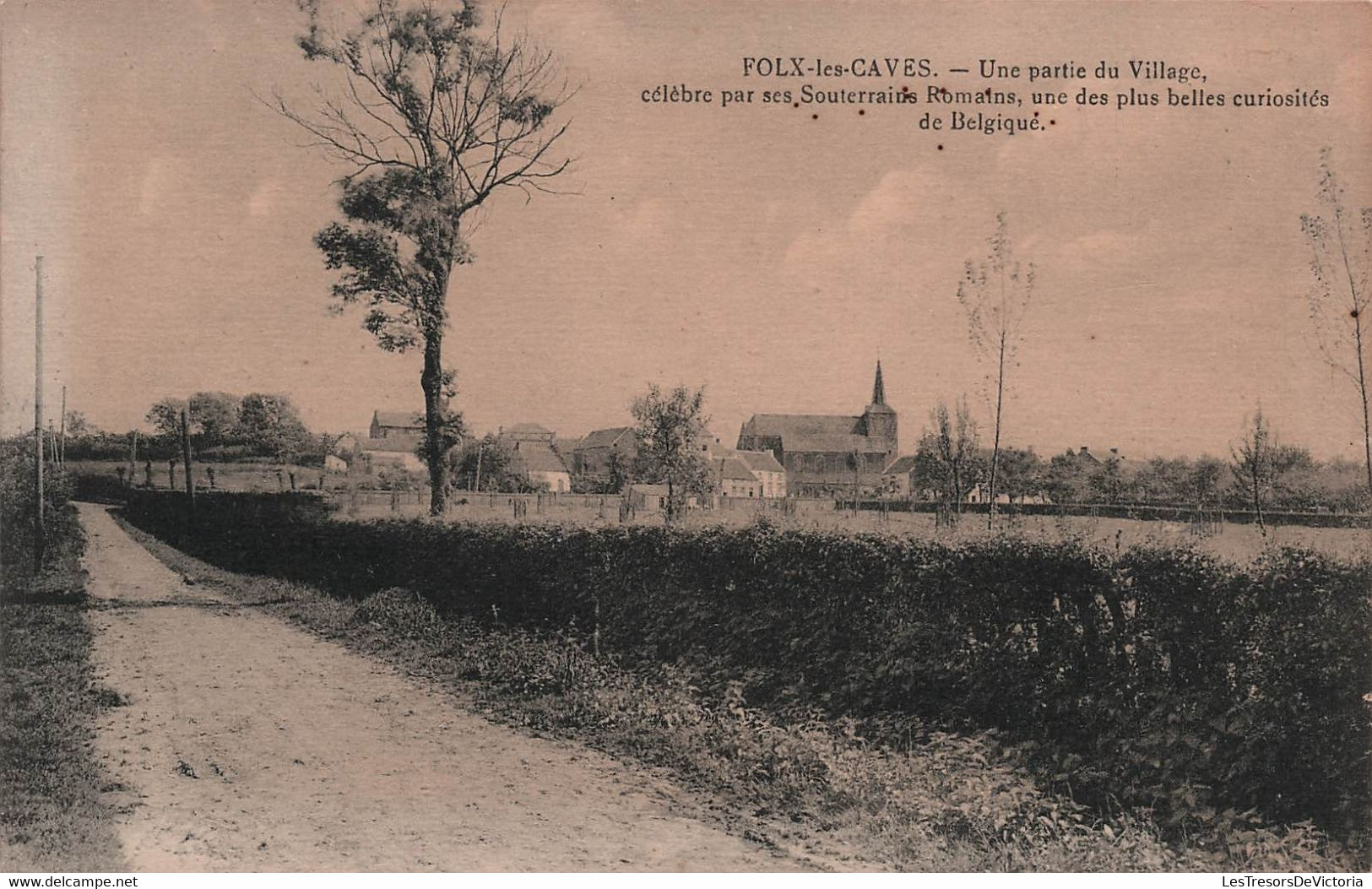 BELGIQUE - Folx Les Caves - Une Partie Du Village Celebre Par Ses Souterrains Romains - Carte Postale Ancienne - - Andere & Zonder Classificatie