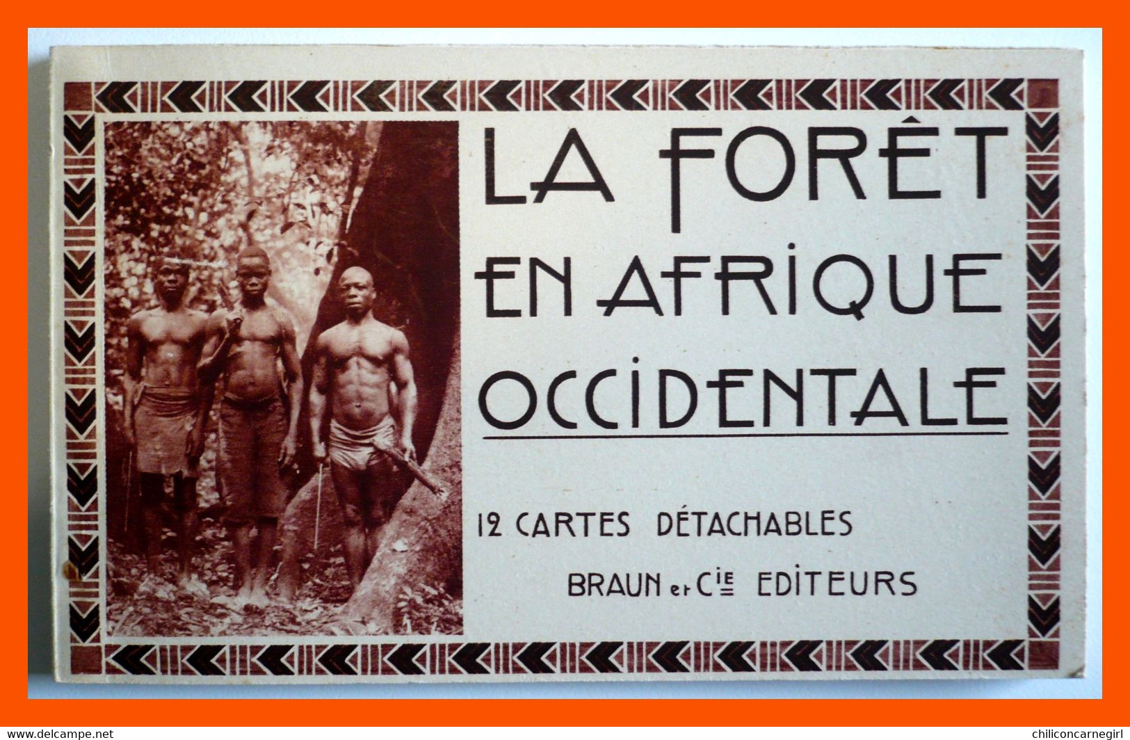 * Carnet De 12 Cp - La Forêt En Afrique Occidentale - Prospecteurs Marigot Mé Pirogue Davo Sassandra Ananas - Edit BRAUN - Côte-d'Ivoire