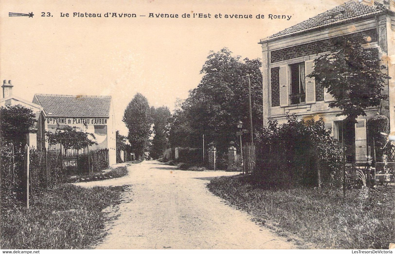FRANCE - 93 - AVRON - Le Plateau D'AvRon - Avenue De L'Est Et Avenue De Rosny -  Carte Postale Ancienne - Autres & Non Classés