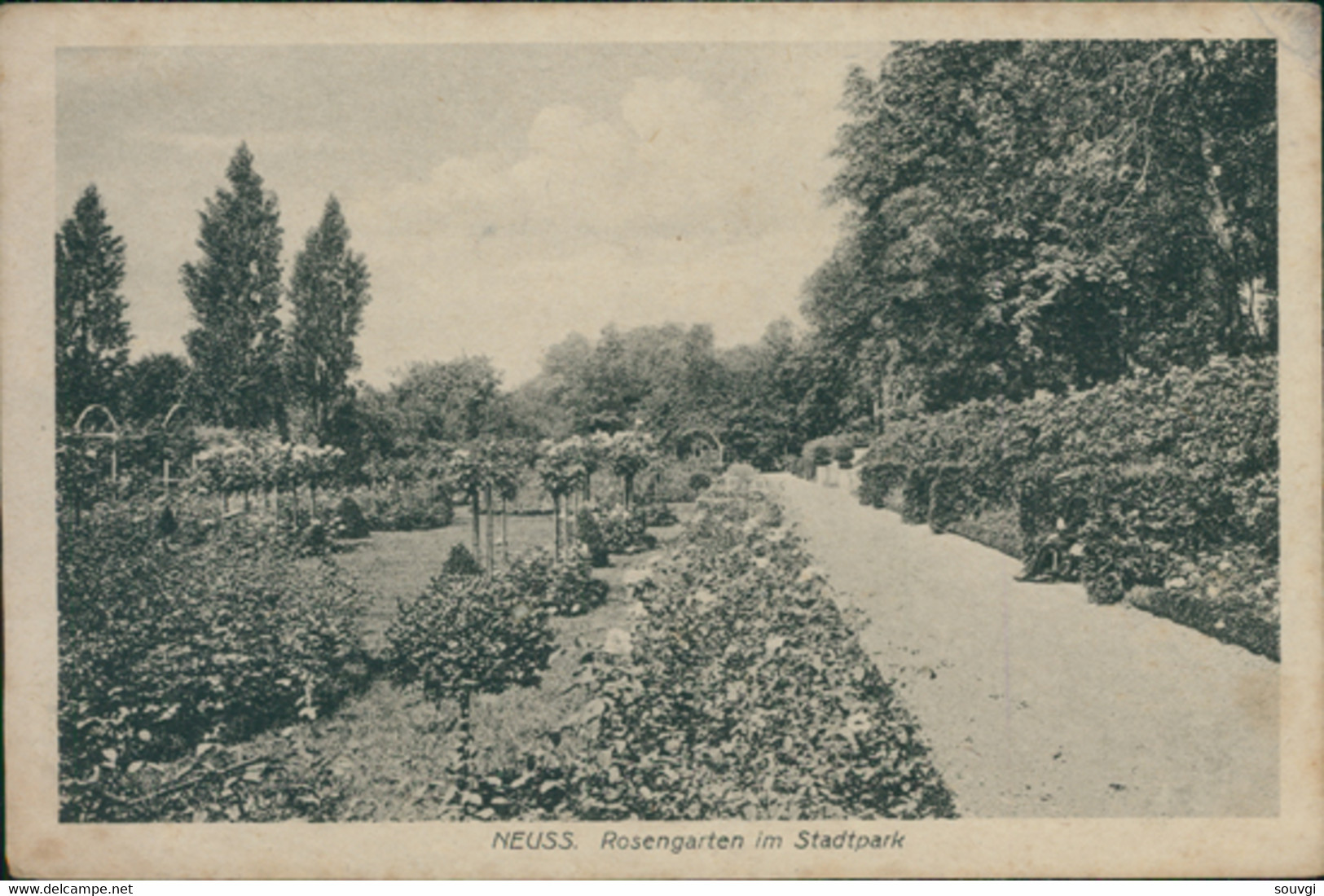 DE NEUSS / Rosengarten  Im Stadtpark / - Neuss