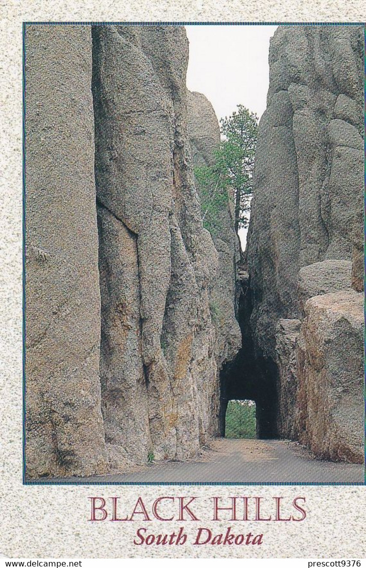 Black Hills South Dakota- USA - Postcard - Stamped 1995 - Other & Unclassified