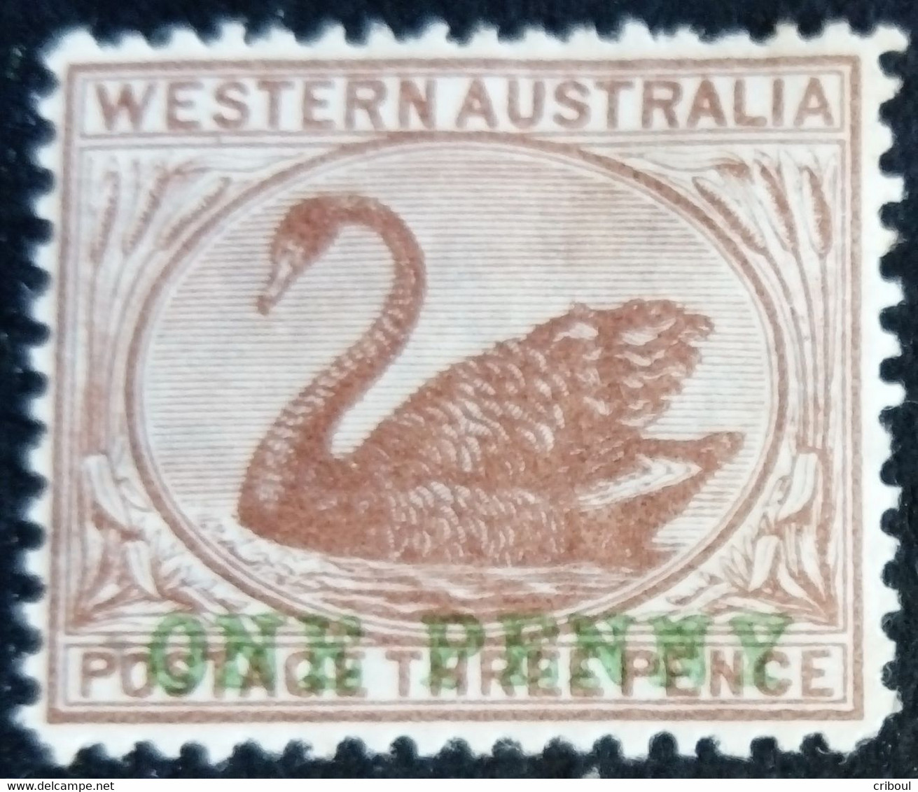 Australie Occidentale Western Australia 1893 Filigrane Couronne CC Watermark Crown CC Surchargé ONE PENNY Yvert 51 * MH - Schwäne