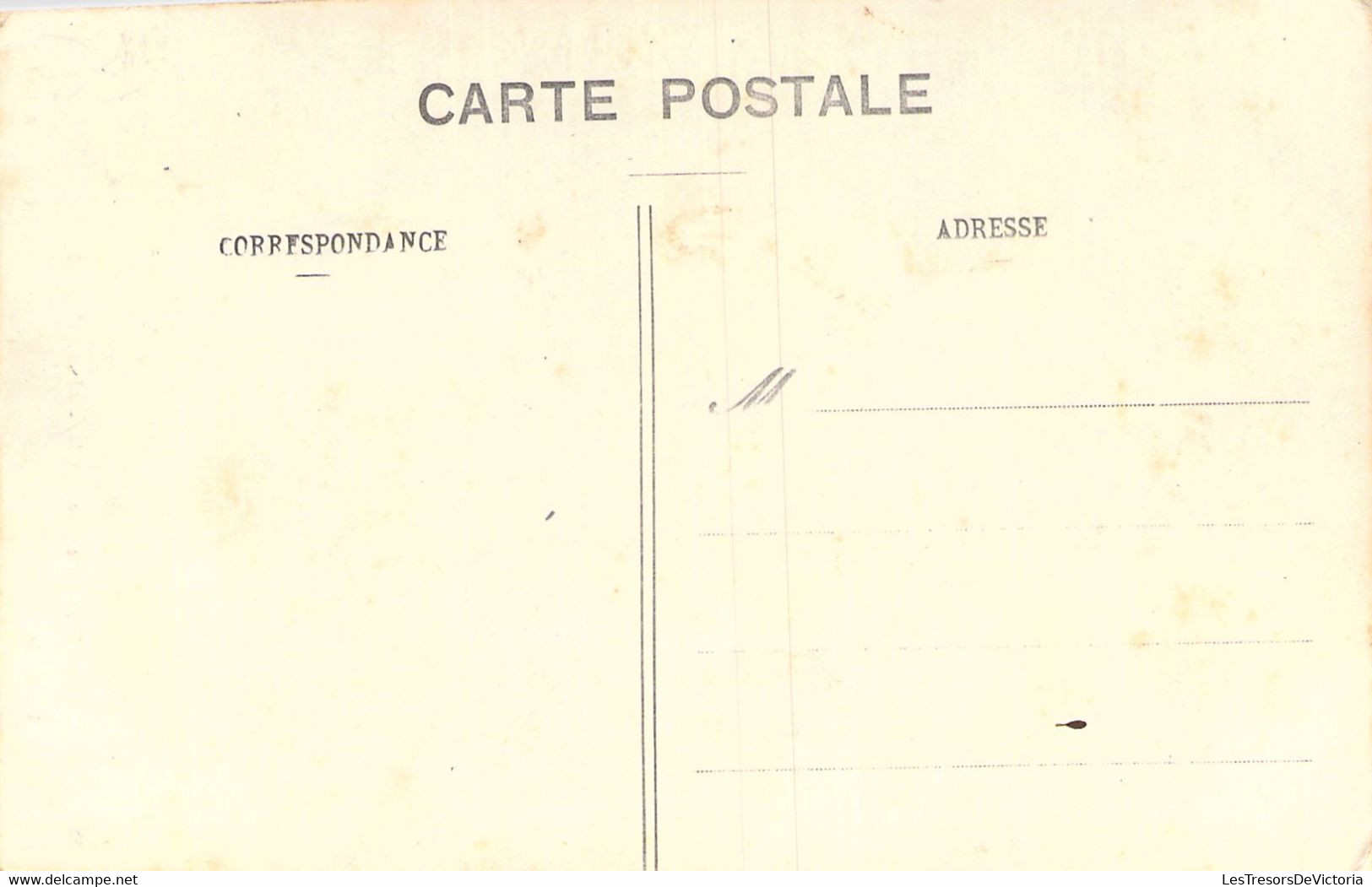 FRANCE - 81 - ALBI - Parc Rochegude - Allée Principale -  Carte Postale Ancienne - Albi