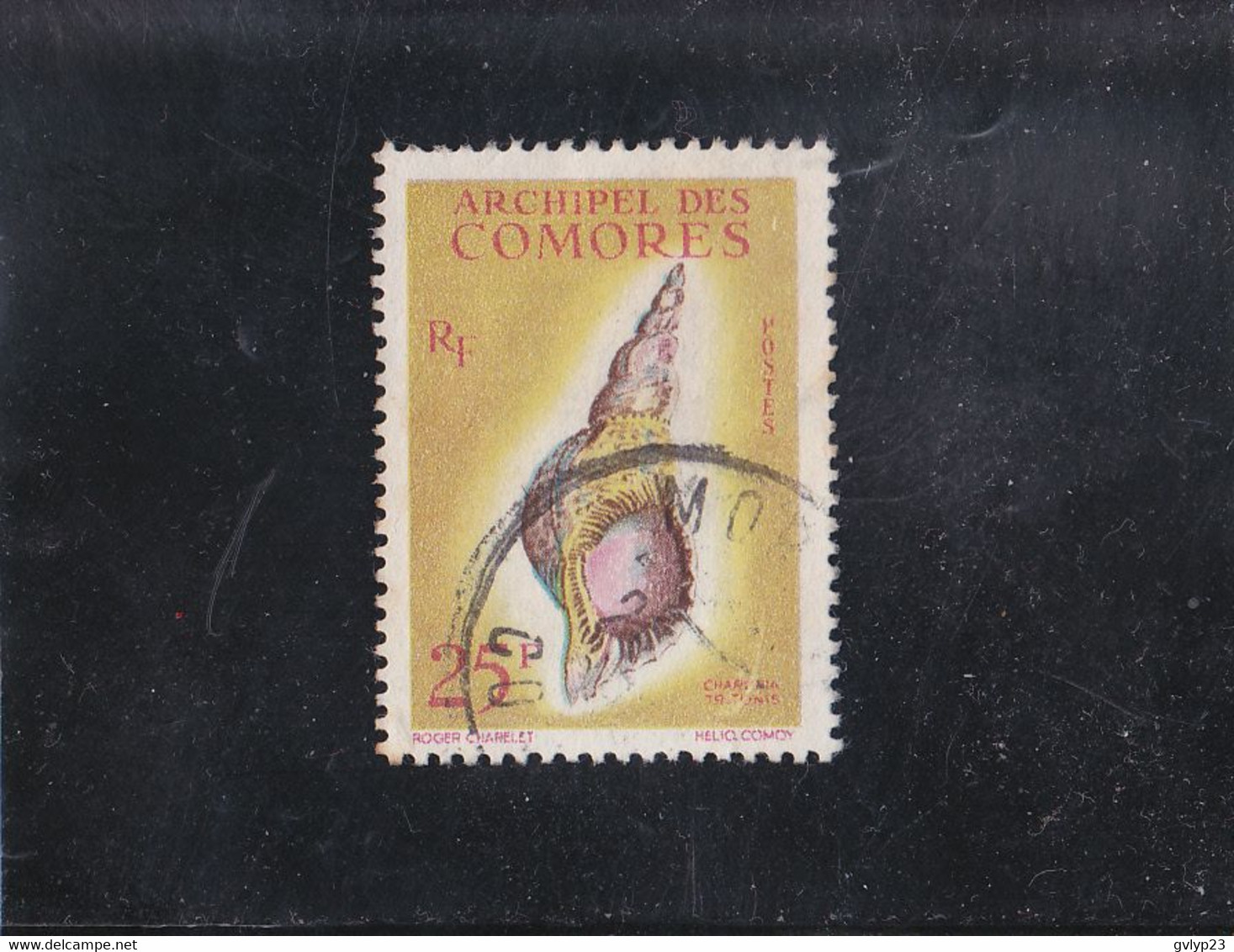 CHARONIA TRITONIS  25F JAUNE/POLYCHROME OBLITéRé N° 24 YVERT ET TELLIER 1962 - Used Stamps