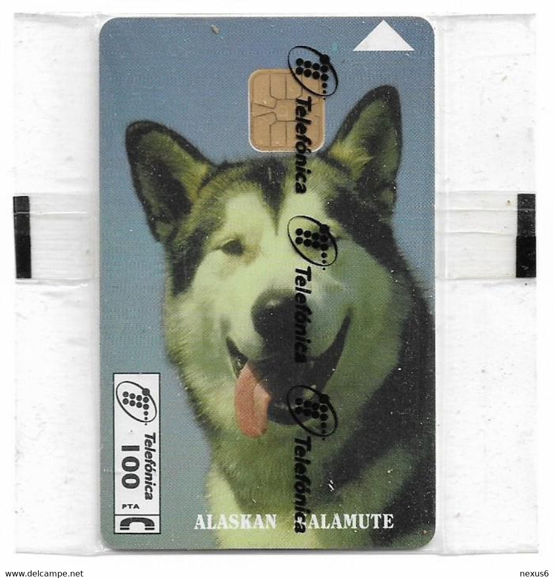 Spain - Telefónica - Alaskan Malamute Dog - P-129 - 05.1995, 100PTA, 6.100ex, NSB - Privatausgaben