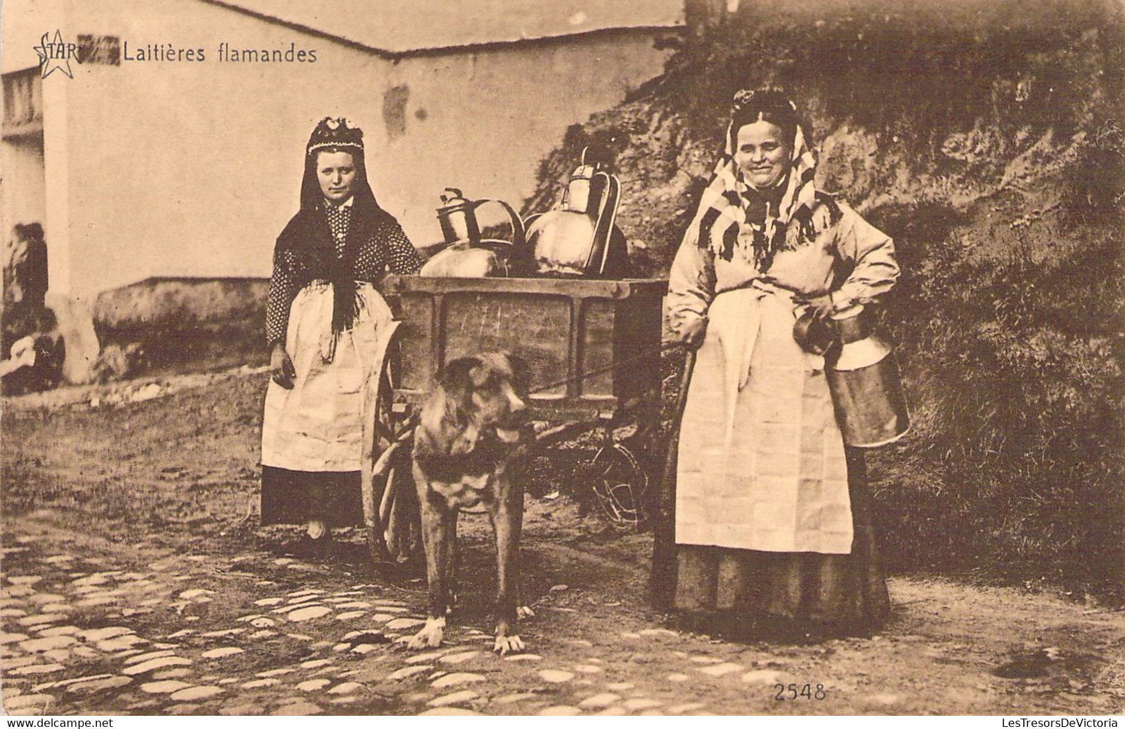 AGRICULTURE - Métier - Laitières Flamandes - Carreaux Noir Et Blanc - Chien - Pot De Lait -  Carte Postale Ancienne - Viehzucht