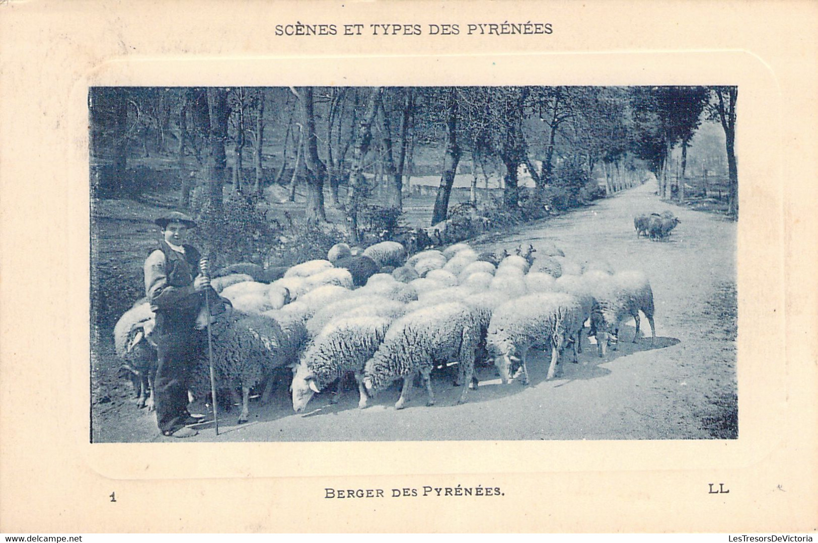 AGRICULTURE - Métier - BERGER Des Pyrénées - LL -  Carte Postale Ancienne - Veeteelt